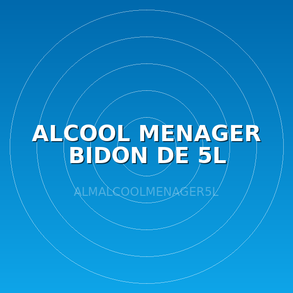 ALCOOL MENAGER BIDON DE 5L