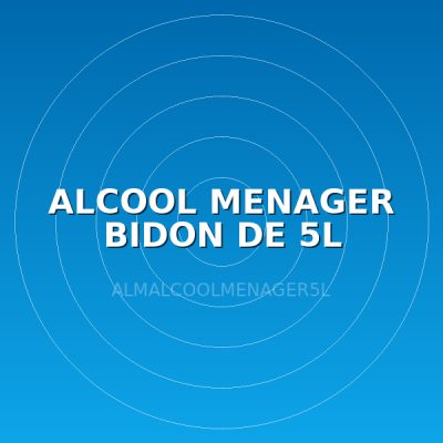 ALCOOL MENAGER BIDON DE 5L