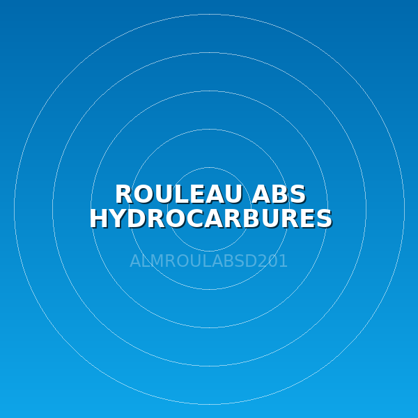 ROULEAU ABS HYDROCARBURES RLD0201 (LOT DE 2)