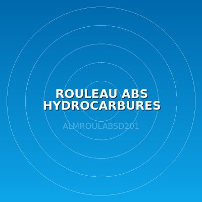 ROULEAU ABS HYDROCARBURES RLD0201 (LOT DE 2)