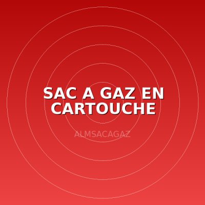 SAC A GAZ EN CARTOUCHE