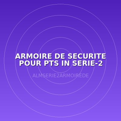 ARMOIRE DE SECURITE POUR PTS IN SERIE-2