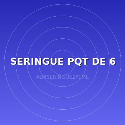 SERINGUE PQT DE 6