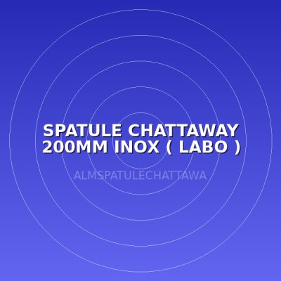 SPATULE CHATTAWAY 200MM INOX  ( LABO )