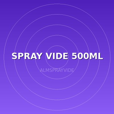 SPRAY VIDE 500ML