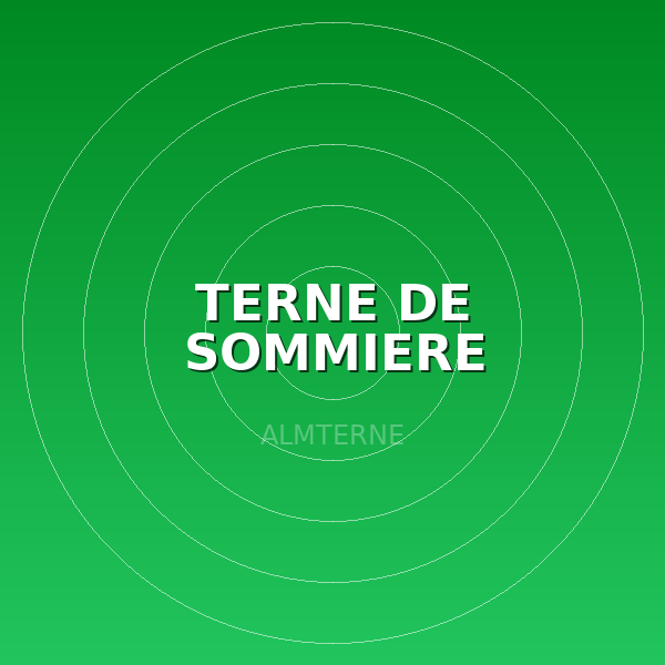 TERNE DE SOMMIERE