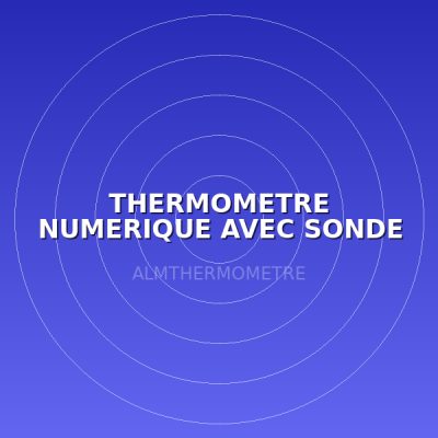 THERMOMETRE NUMERIQUE AVEC SONDE TP3001