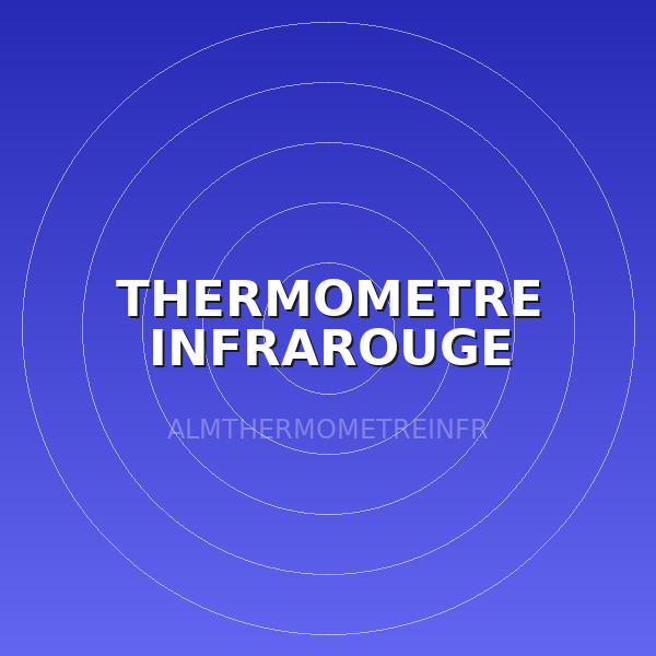 THERMOMETRE INFRAROUGE 1000°C