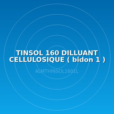 TINSOL 160 DILLUANT CELLULOSIQUE ( bidon 1 )