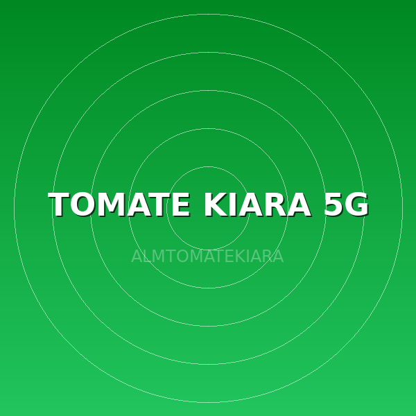 TOMATE KIARA 5G