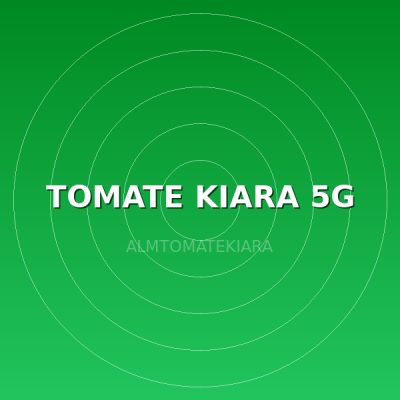 TOMATE KIARA 5G