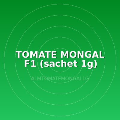 TOMATE MONGAL F1 (sachet 1g)