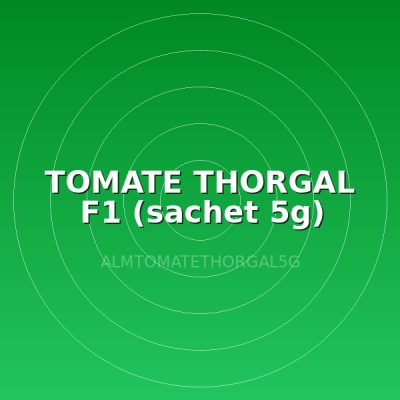 TOMATE THORGAL F1 (sachet 5g)