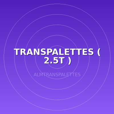 TRANSPALETTES ( 2.5T )