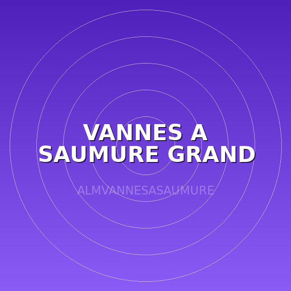 VANNES A SAUMURE GRAND DEBIT