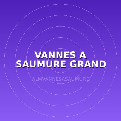 VANNES A SAUMURE GRAND DEBIT