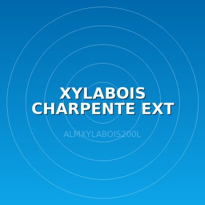 XYLABOIS CHARPENTE EXT 200 L
