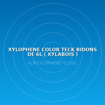 XYLOPHENE COLOR TECK BIDONS DE  6L ( XYLABOIS )