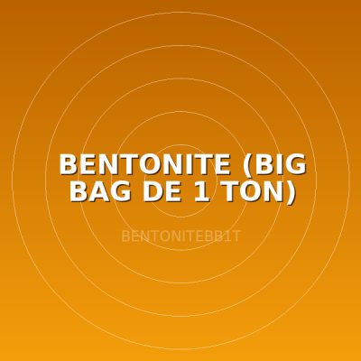 BENTONITE (BIG BAG DE 1 TON)