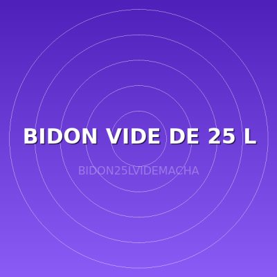 BIDON VIDE DE 25 L