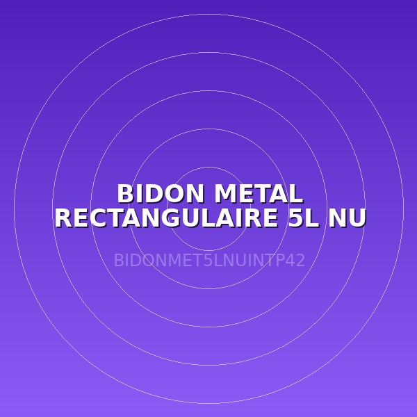 BIDON METAL RECTANGULAIRE 5L NU INT P42,3