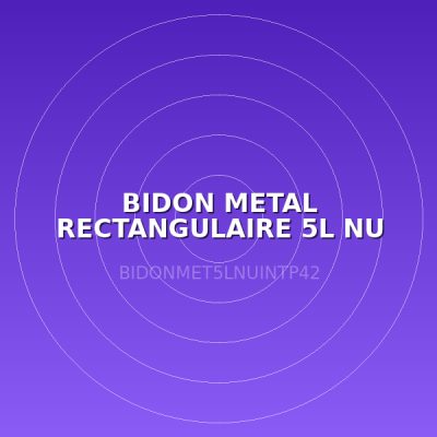 BIDON METAL RECTANGULAIRE 5L NU INT P42,3