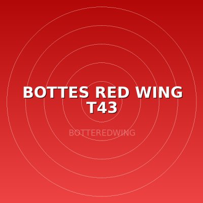 BOTTES RED WING T43