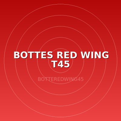 BOTTES RED WING T45