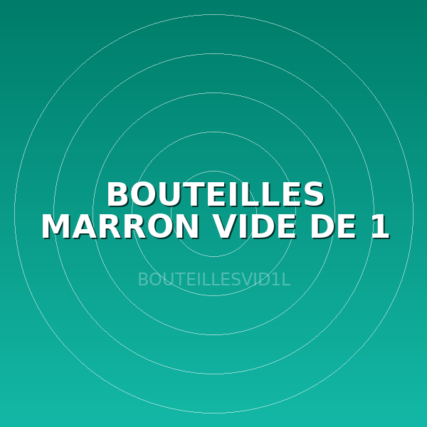BOUTEILLES MARRON VIDE DE 1 L