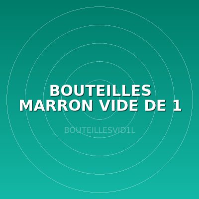 BOUTEILLES MARRON VIDE DE 1 L