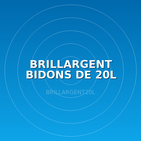 BRILLARGENT BIDONS DE 20L