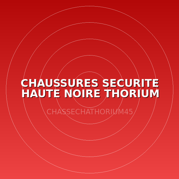 CHAUSSURES SECURITE HAUTE NOIRE THORIUM T45