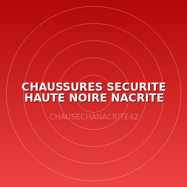 CHAUSSURES SECURITE HAUTE NOIRE NACRITE T42