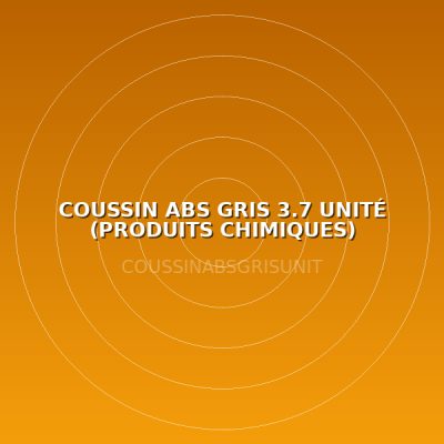 COUSSIN ABS GRIS 3.7 UNITÉ (PRODUITS CHIMIQUES)