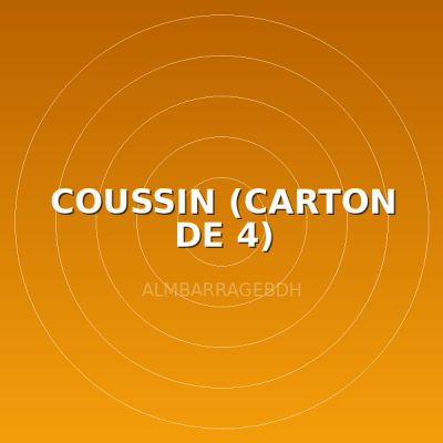 COUSSIN (CARTON DE 4)