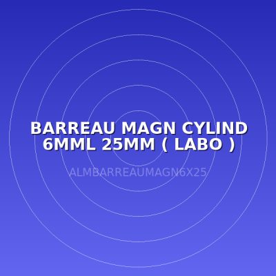 BARREAU MAGN CYLIND 6MML 25MM  ( LABO )