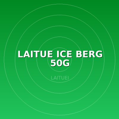 LAITUE ICE BERG 50G