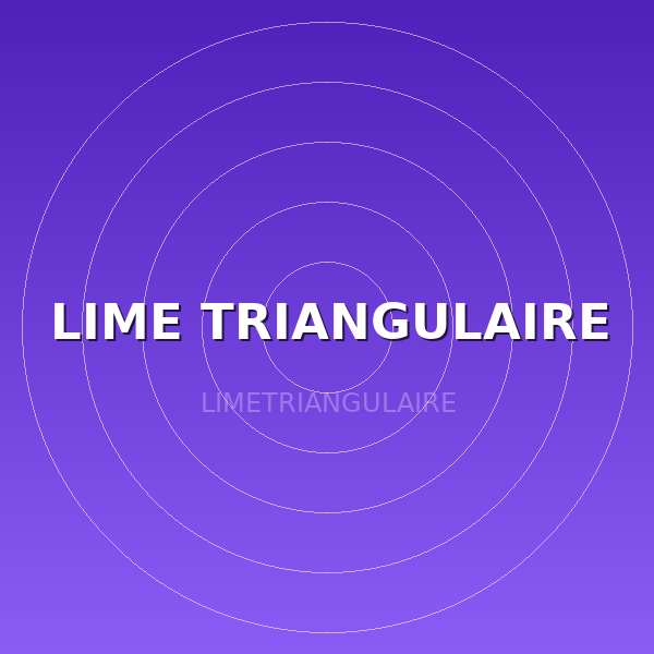 LIME TRIANGULAIRE