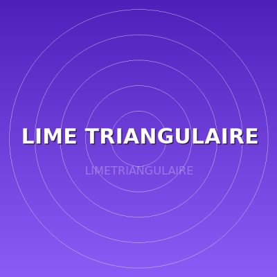 LIME TRIANGULAIRE