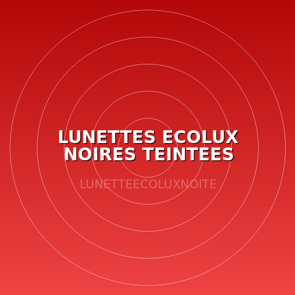 LUNETTES ECOLUX NOIRES TEINTEES