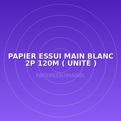 PAPIER ESSUI MAIN BLANC 2P 120M ( UNITÉ )