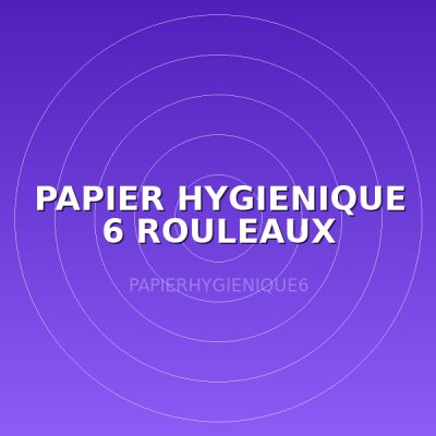 PAPIER HYGIENIQUE 6 ROULEAUX