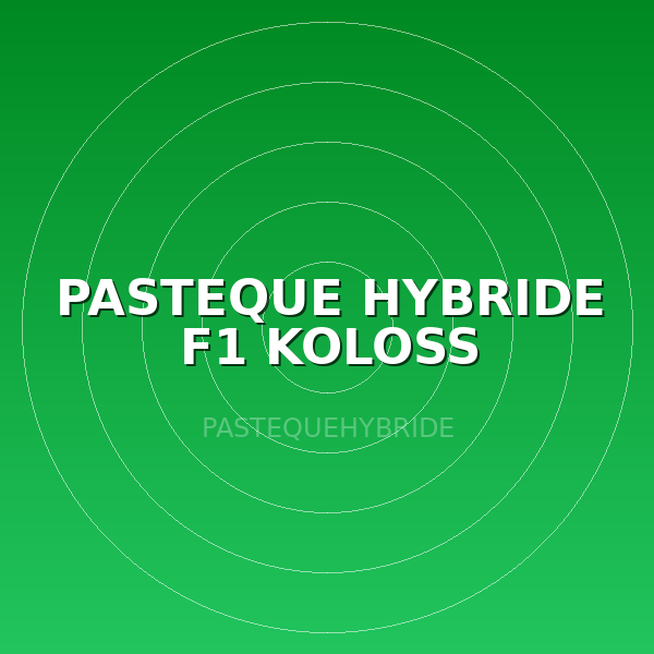 PASTEQUE HYBRIDE F1 KOLOSS