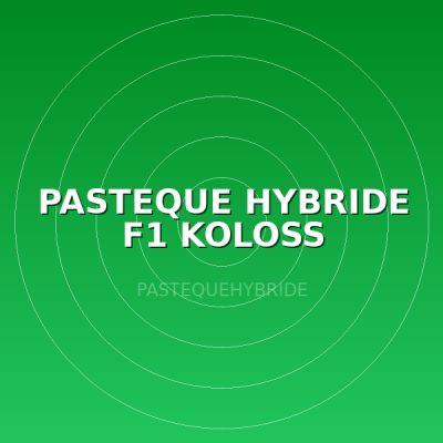 PASTEQUE HYBRIDE F1 KOLOSS