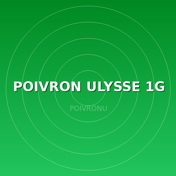POIVRON ULYSSE 1G