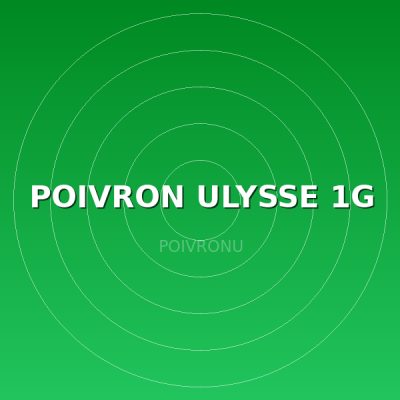 POIVRON ULYSSE 1G