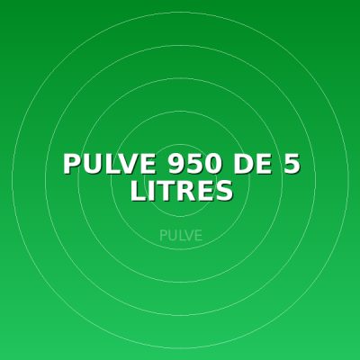PULVE 950 DE 5 LITRES