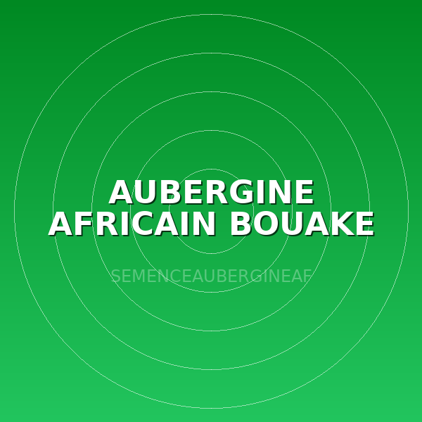 AUBERGINE AFRICAIN BOUAKE 50G
