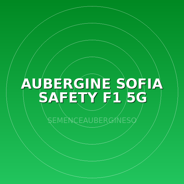 AUBERGINE SOFIA SAFETY  F1 5G
