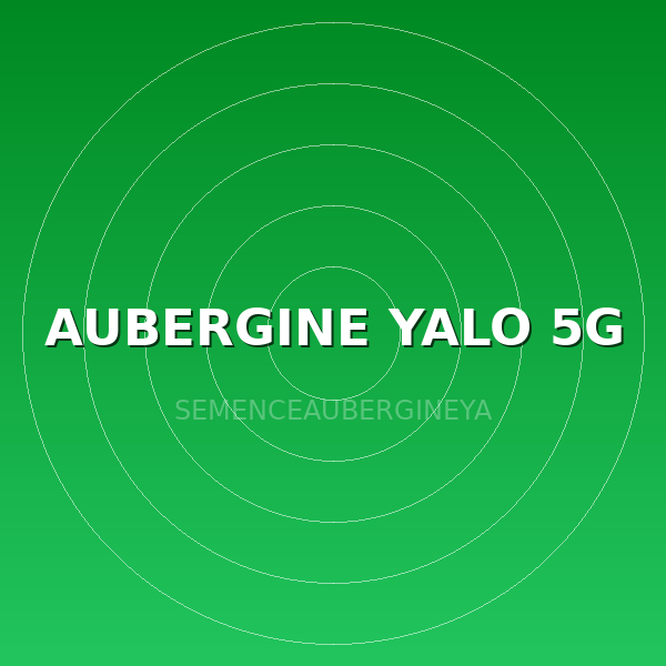AUBERGINE YALO 5G